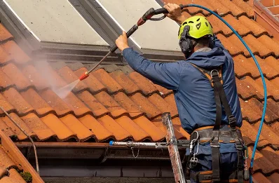 Démoussage et hydrofuge de toiture à Cerisé